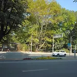 Steady - Guests Varna