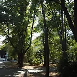 Gazde/Camere de închiriat Steady - Guests Varna