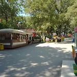 Steady - Guests Varna