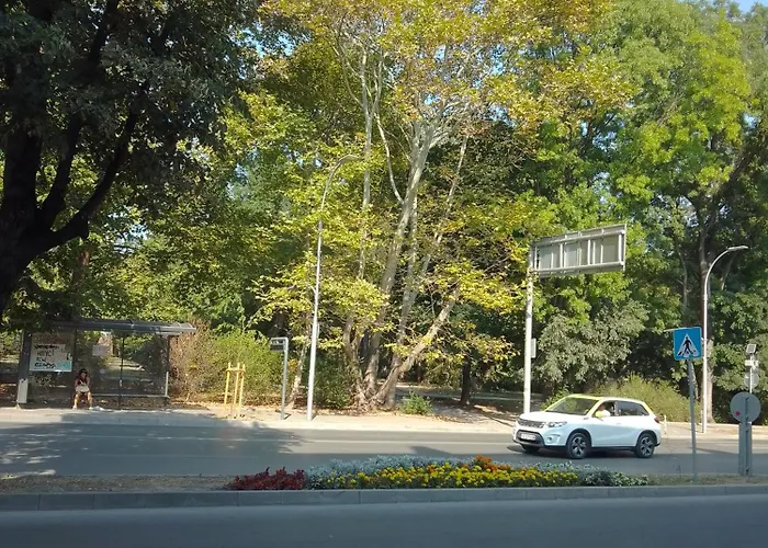 Steady - Guests Varna