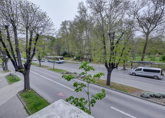 Steady - Guests Homestay