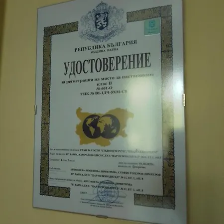 стеди - за гости