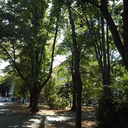 Alloggio in famiglia Steady - Guests Varna