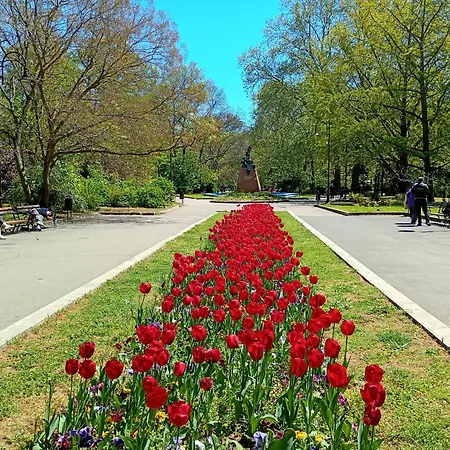 Alloggio in famiglia Steady - Guests Varna