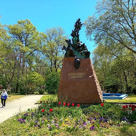 Steady - Guests Alloggio in famiglia *