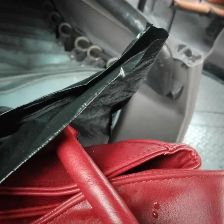 Steady - Guests * Varna