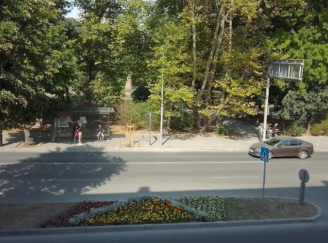 Steady - Guests Alloggio in famiglia *