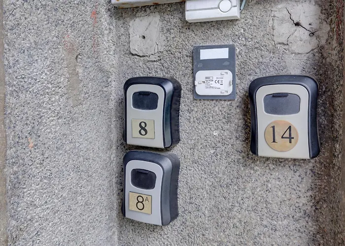 Steady - Guests Varna