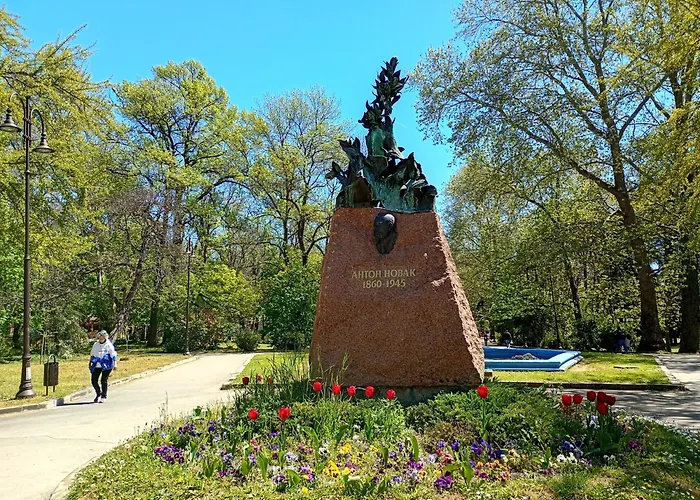 Steady - Guests Alloggio in famiglia *