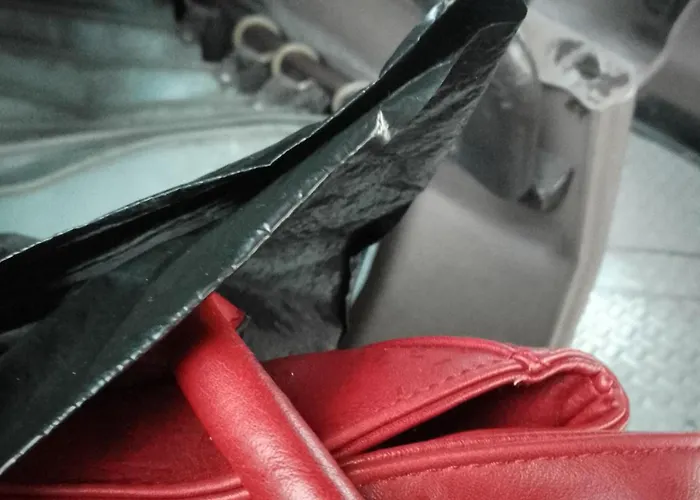 Steady - Guests * Varna